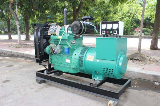 杜尔伯特发电机不发电的原因